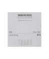 Electric single string GHS Boomers 26