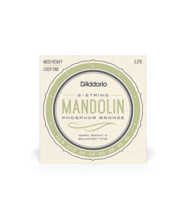 Jeu de cordes pour Mandoline Acoustique en phosphore bronze Bluegrass