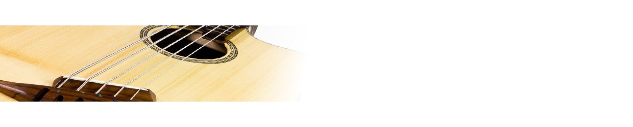 basse Acoustique